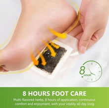 Load image into Gallery viewer, HerbalDetox Foot Patches