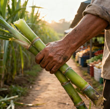 Load image into Gallery viewer, SweetHarvest Sugarcane Seeds