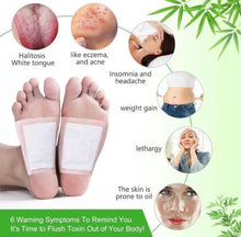 Load image into Gallery viewer, HerbalDetox Foot Patches