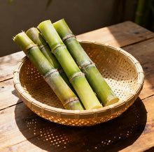 Load image into Gallery viewer, SweetHarvest Sugarcane Seeds