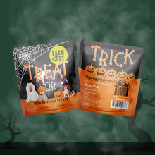 Load image into Gallery viewer, Halloween Dog Treat Snack Packs - 12 or 24 Pack Variety Bundle