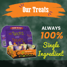 Load image into Gallery viewer, Halloween Dog Treat Box - 31 Assorted Snack Packs