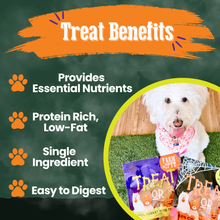Load image into Gallery viewer, Halloween Dog Treat Snack Packs - 12 or 24 Pack Variety Bundle