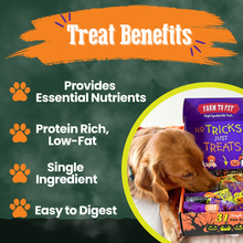Load image into Gallery viewer, Halloween Dog Treat Box - 31 Assorted Snack Packs