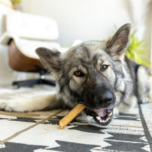 Load image into Gallery viewer, Natural Dental Sticks for Dogs - Large, Parsley & Mint