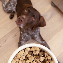 Load image into Gallery viewer, Brown dog waiting beside a bowl of kibble topped with Rawbiotic Bites dog food topper