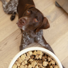 Load image into Gallery viewer, Rawbiotic Bites Chicken Dog Food Topper
