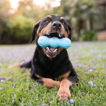 Load image into Gallery viewer, West Paw Rumpus Durable Dog Chew Toy for Tough Chewers