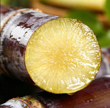 Load image into Gallery viewer, SweetHarvest Sugarcane Seeds
