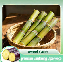 Load image into Gallery viewer, SweetHarvest Sugarcane Seeds
