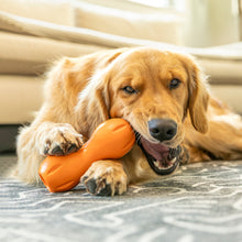 Load image into Gallery viewer, Natural Dental Sticks for Dogs - Large, Parsley &amp; Mint
