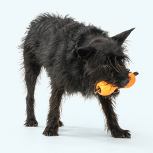 Load image into Gallery viewer, West Paw Qwizl Dog Treat Toy &amp; Bully Stick Holder
