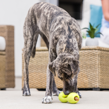 Load image into Gallery viewer, West Paw Qwizl Dog Treat Toy &amp; Bully Stick Holder
