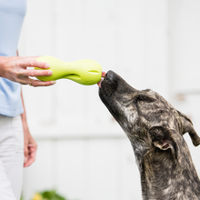 Load image into Gallery viewer, West Paw Qwizl Dog Treat Toy &amp; Bully Stick Holder
