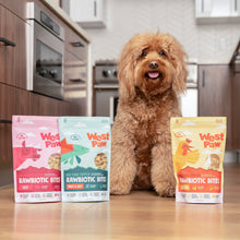 Load image into Gallery viewer, Dog sitting on a kitchen floor with West Paw Rawbiotic Bites packages in front of it.
