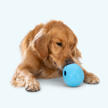 Load image into Gallery viewer, Rumbl
