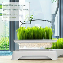 Load image into Gallery viewer, Cat Grass Hydroponic Planter - Soilless Wheatgrass Growing Kit for Indoor Cats - Plastic Desktop Pot

