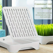 Load image into Gallery viewer, Cat Grass Hydroponic Planter - Soilless Wheatgrass Growing Kit for Indoor Cats - Plastic Desktop Pot
