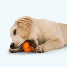 Load image into Gallery viewer, West Paw Tux Tough Dog Treat Toy for Chewing &amp; Enrichment
